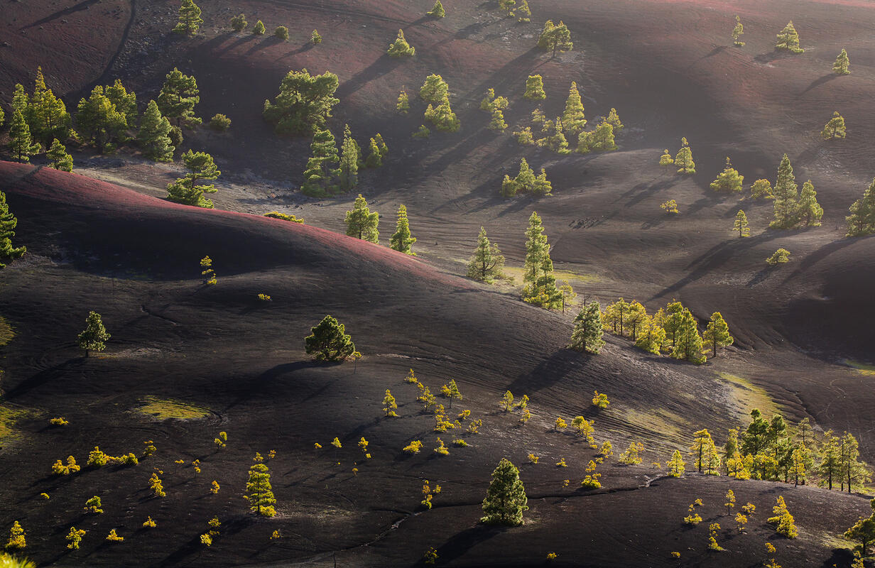 La Palma,